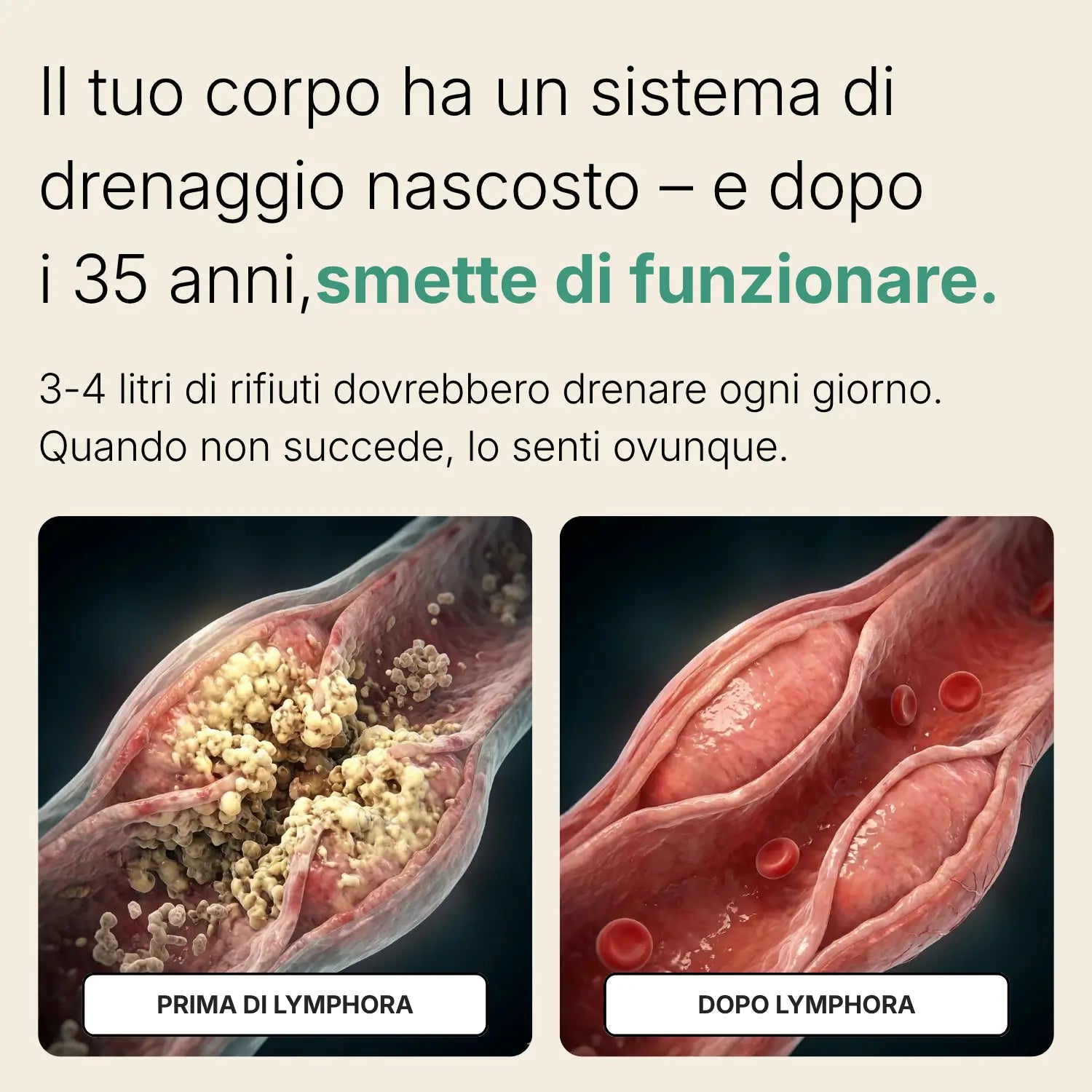 Capsule di drenaggio linfatico di Lymphora™